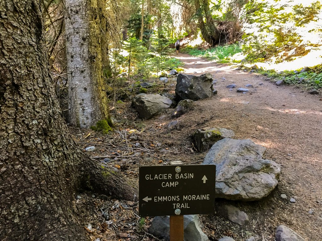 Fork between Emmons Moraine and Glacier Basin