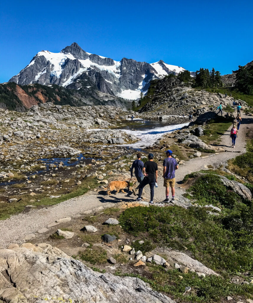 Easily graded trail with wide paved areas for most of Huntoon Point.