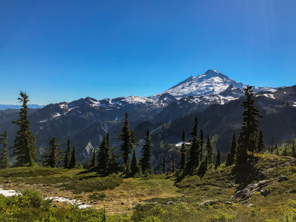 With everything going on around you, it's easy to forget about Mount Baker looming to the south