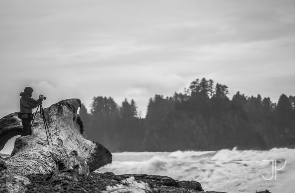 Giant driftwood offers slight protection from the oceans grasp