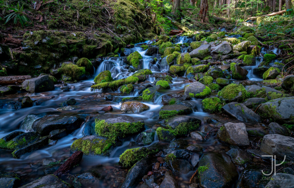 Just your regular beautiful stream, hidden away in the majestic rain forests of Olympic National Park