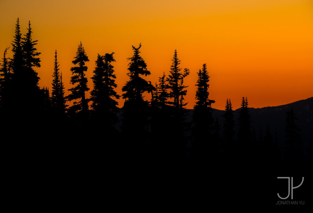 The tallest of the trees poke out above the distant mountains on another summer sunset