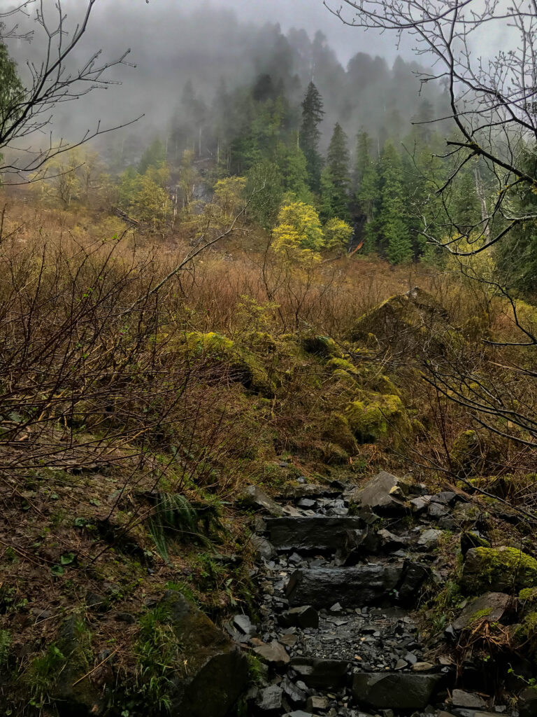 Well maintained steps make for an easy ascent - iPhone