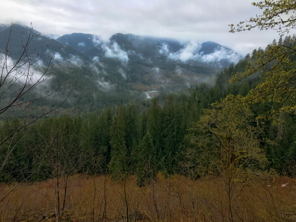 Morning fog and clouds hover over the distant Stillaguamish River - iPhone