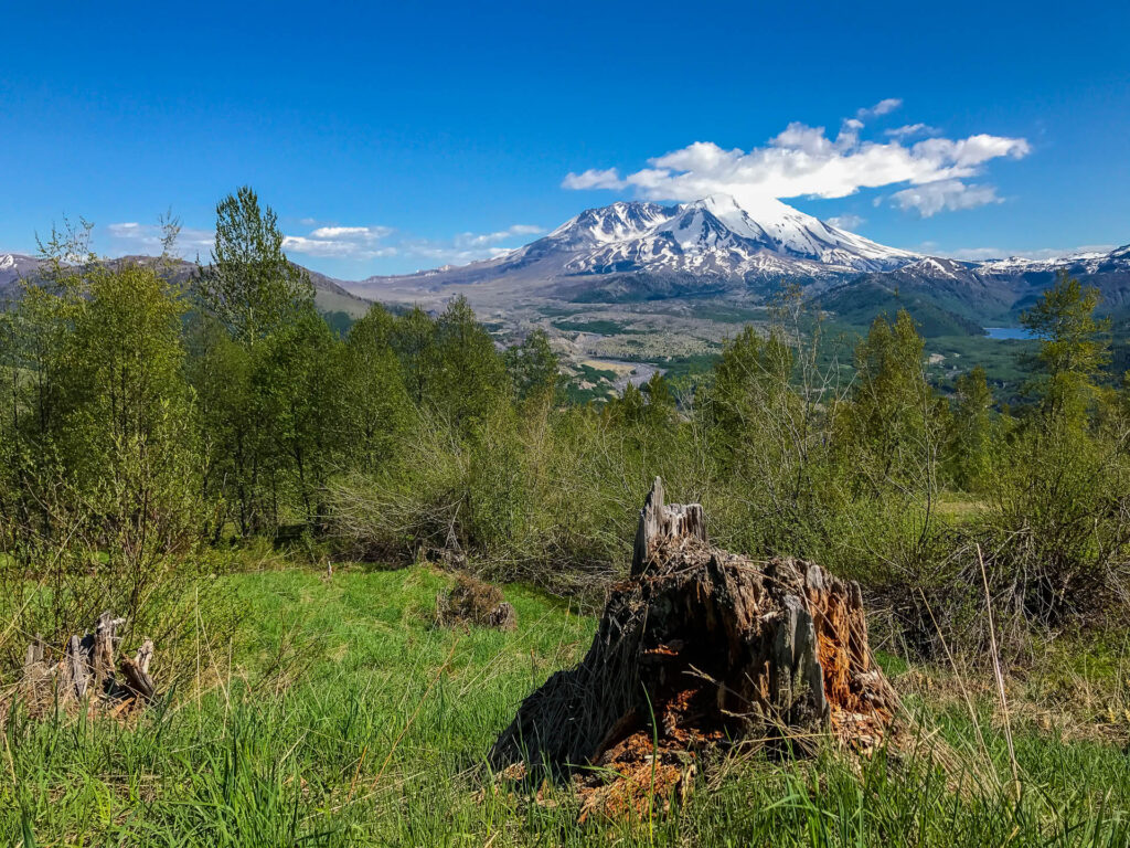 View from Castle Rock Viewpoint - iPhone