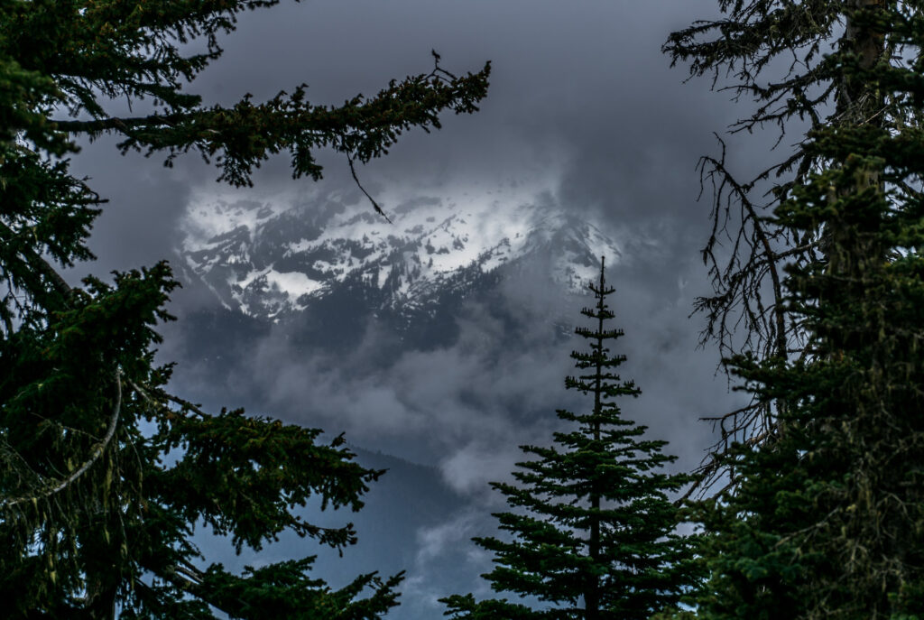 Peaking through the trees and clouds. - A7RII 