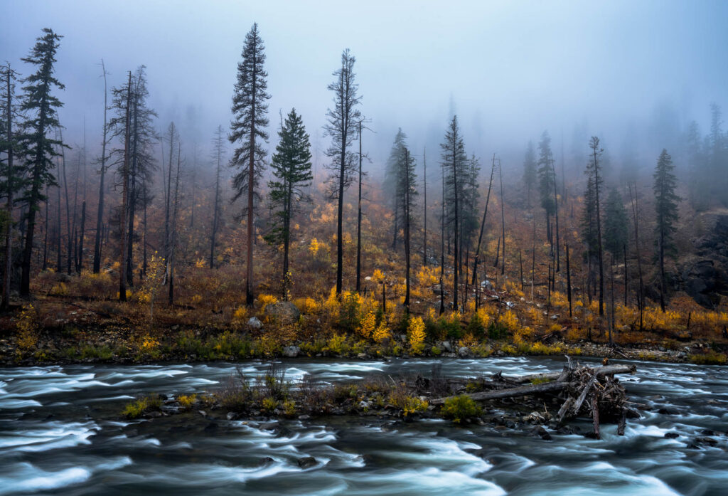 Washington Fall Colors