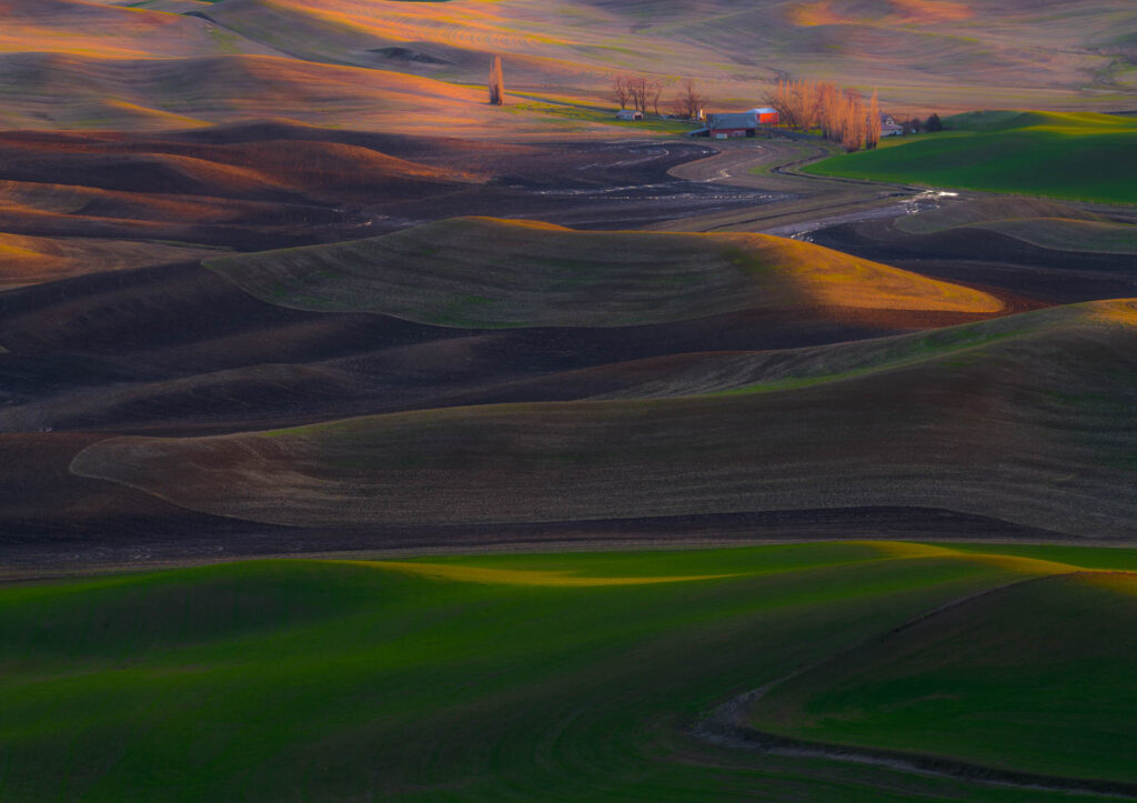 Palouse Sunset