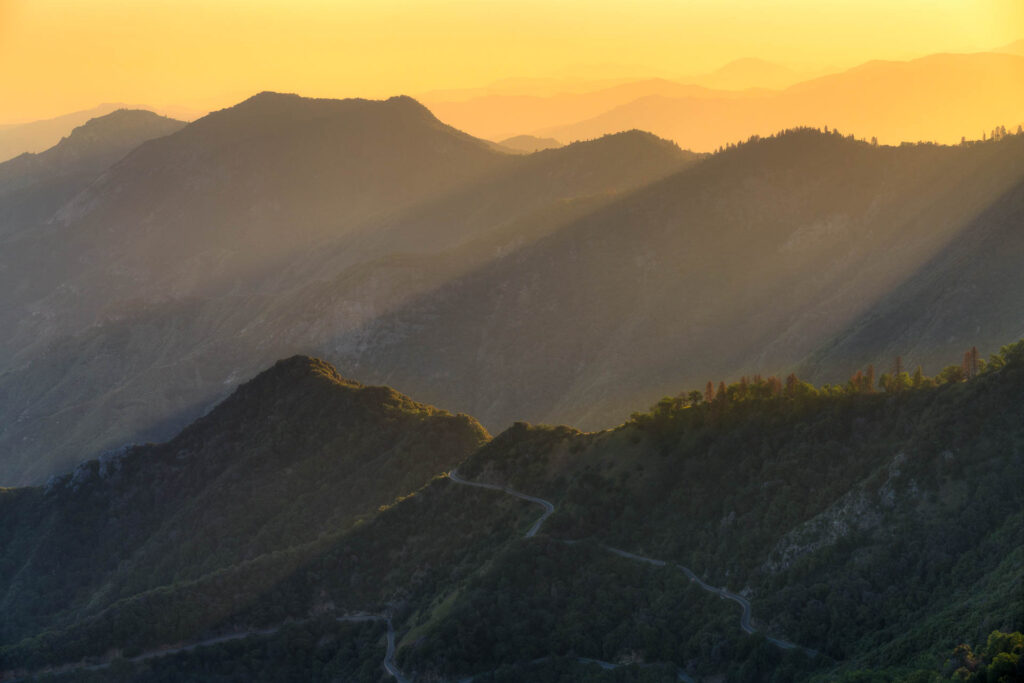 Sequioa National Park Sunset