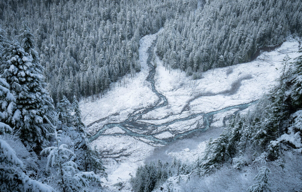 Mount Rainier in the winter