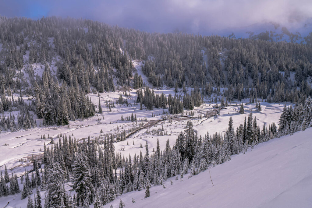 Mount Rainier in the winter