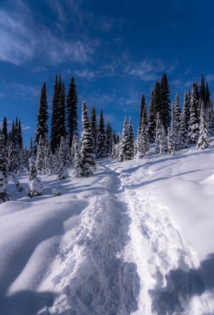 Mount Rainier in the winter