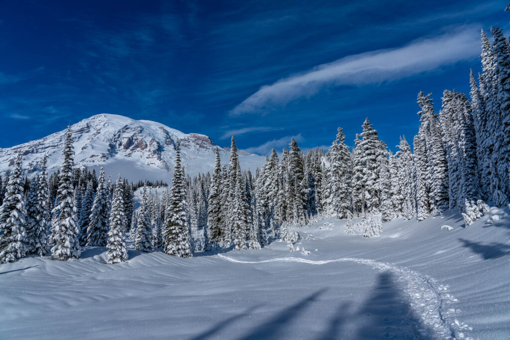 Mount Rainier in the Winter, Paradise