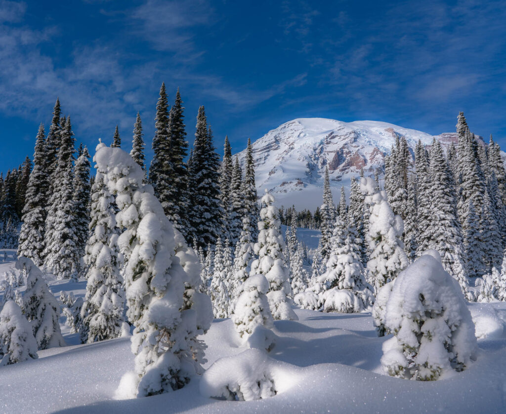 Mount Rainier in the Winter, Paradise