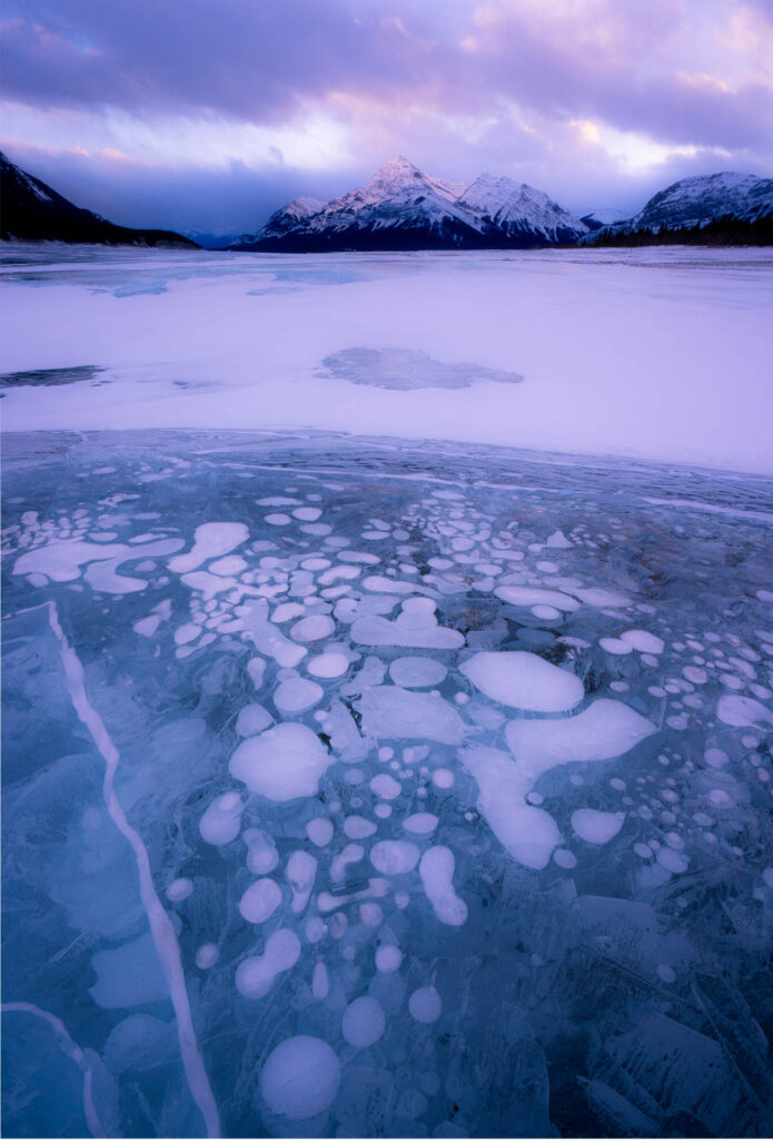 Ice Bubbles at Abraham Lake