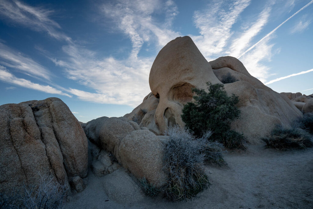 Joshua Tree Skull Rock