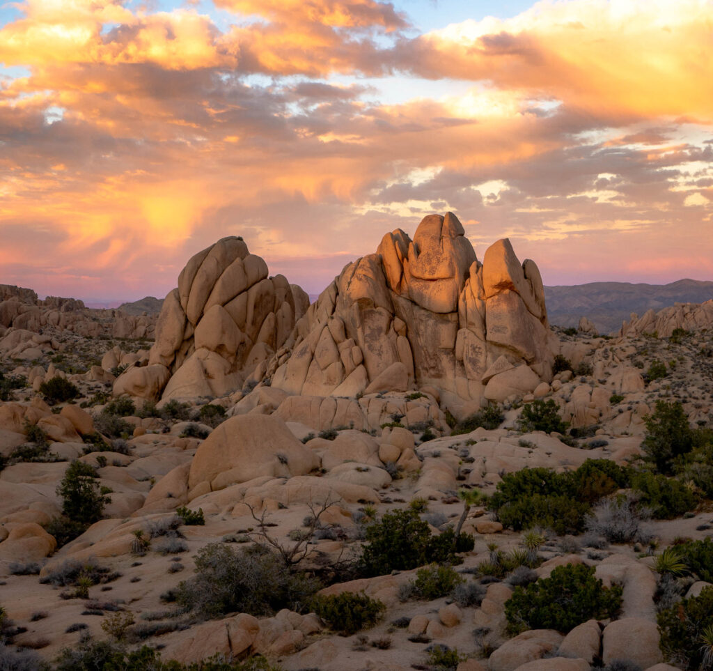 Joshua Tree Sunset