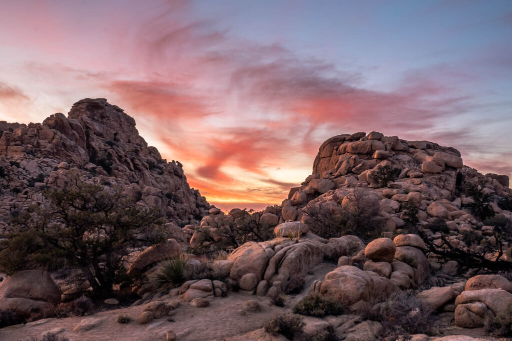 Joshua Tree Sunset